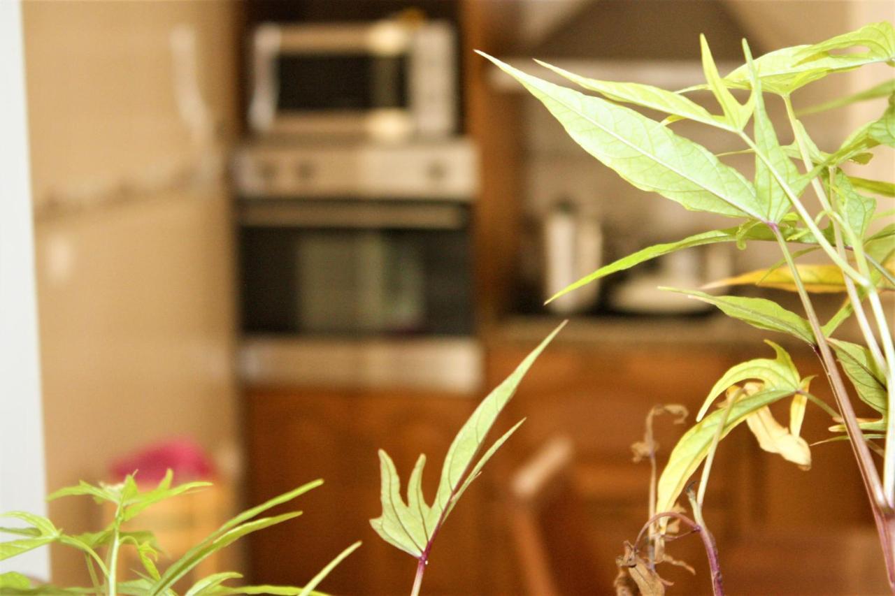 Vila Nova Hostel Casa Branca מראה חיצוני תמונה